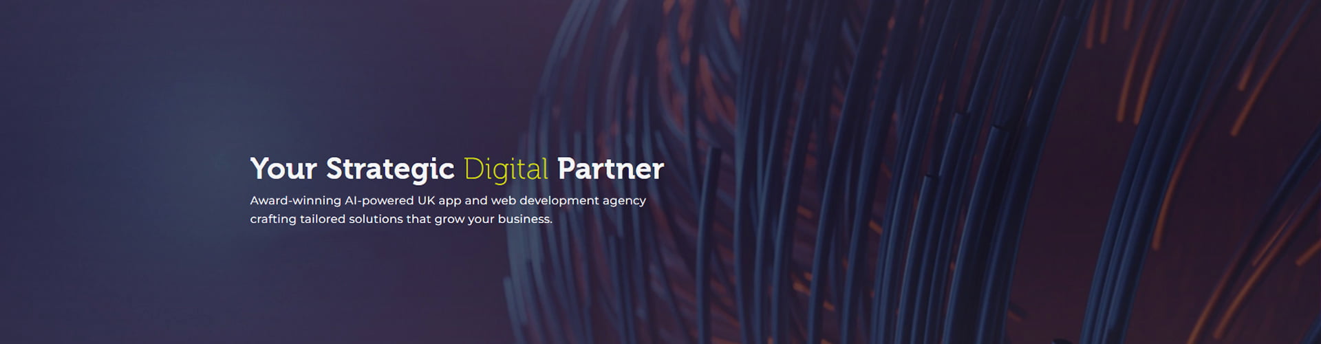 Chilliapple Software Development Agency
